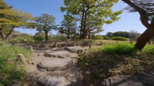 Японский сад: загадки и символы