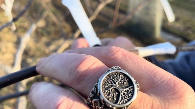 [Прививка растений]. Прививка яблони. Улучшенная копул смотреть онлайн