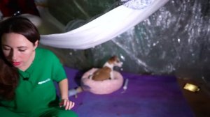 НОЧЬ В ДОМЕ ИЗ ПЛЕНКИ НА ДЕРЕВЕ В ЛЕСУ - Первая Ночь | Эл