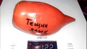 Томат Тёщин язык