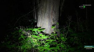 САМЫЕ ПОПУЛЯРНЫЕ ФОНАРИКИ!!!??? Sofirn SR12, Convoy S2+, wurkkos FC12, Shust