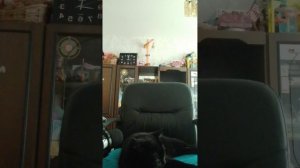 озеро Осборн место Definite