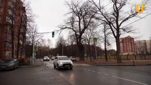 В Уфе обнаружили дуб, который нельзя спилить