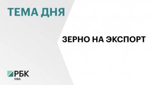 1,3 тыс. тонн зерна Башкортостан отправил на экспорт в 2025 г.