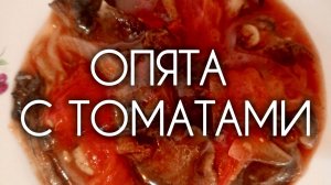 ОПЯТА С ТОМАТАМИ 🍅🍄🟫 Любите грибы? Приготовьте по этому рецепту эту необычную закуску на зиму