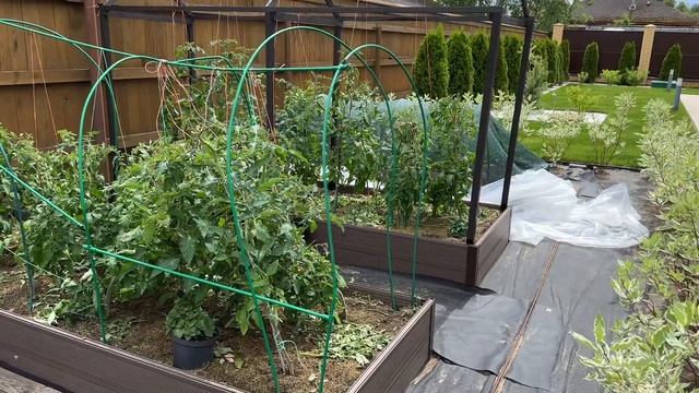 НОВЫЙ ОГОРОД В НЕОБЫЧНОМ МЕСТЕ 🫜 ОШИБКИ ПРИ СОЗДАНИИ смотреть онлайн