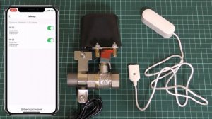 Защита от протечек воды с AliExpress ⚡ Tuya Wi-Fi, Smart Life