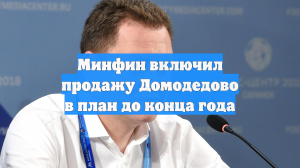 Минфин включил продажу Домодедово в план до конца года