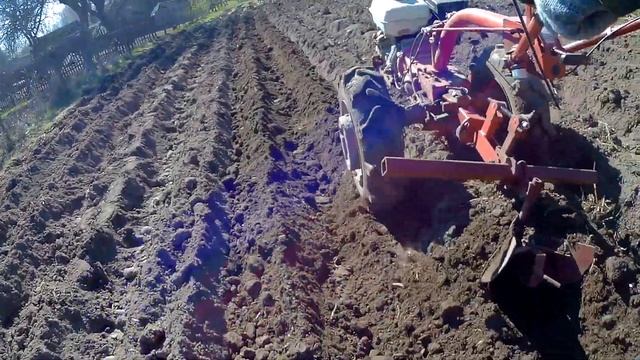 Посадка картофеля мотоблоком под окучник смотреть онлайн