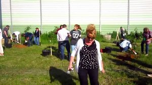 Посадка фруктовый сад г.Видное