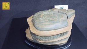 Бонсай выставка. Часть 1.Красивые бонсай от лучших мастеров