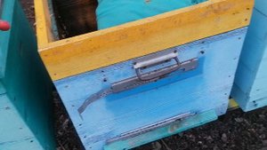 Зимняя вентиляция ульев.