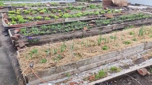 борьба с кивсяками