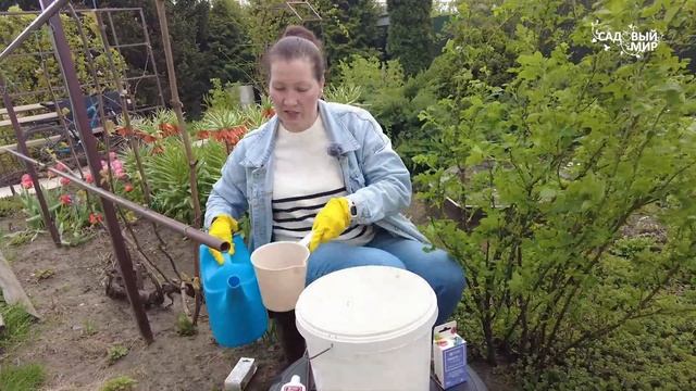 ОДНА ОБРАБОТКА ПЛОДОВЫХ ВЕСНОЙ - ЭТО НЕ СЕРЬЕЗНО! ВТОР? смотреть онлайн