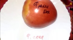 Томат Фрекен Бок