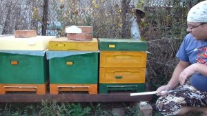 Как зимовать в ульях ППУ , ППС