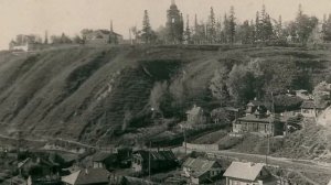 Эпоха безмолвия. Куда исчезли вековые леса Земли?