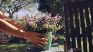 Как устроен мир: Что такое дерево Сефирот? Таро. Каббал