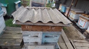 Двухматочное содержание пчёл или метод Озерова