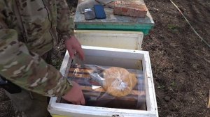 ИТОГИ ЗИМОВКИ 2019-2020 год. ПЕНОУЛИК....