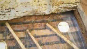 Асаларичилик Воротоз касалигига карши курашиш усули