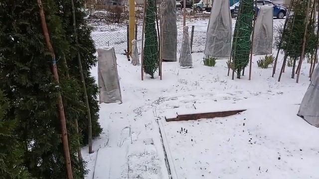 Почва. Часть 1. (Хвойный ликбез. Лекция 11) смотреть онлайн