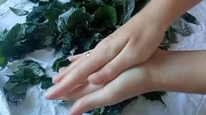 ферментация листа малины осенью