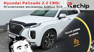 Отключение мочевины Palisade 2.2 дизель Rechip, Речип