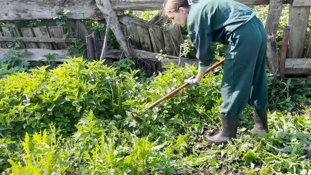 ПРИЕХАЛИ НА ЛЕТО В ДЕРЕВНЮ  |  КУПИЛА ДОМ В ДЕРЕВНЕ ЗА 50?