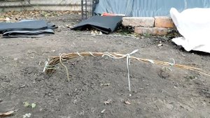 Гранат Укрываю на Зиму ➤ просто и не сложно