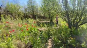 Поездка в детство. Часть один : наши старые брошенные д