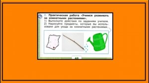 Окружающий мир 1 класс Как живут растения?