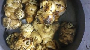 Топинамбур или земляная груша.Польза и вред.Борьба с б