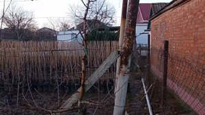 Устройство шпалеры для плодовых (яблони и груши)  свои?