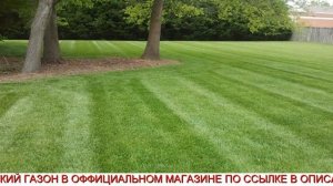 Жидкий Газон Купить В Леруа Мерлен Цена