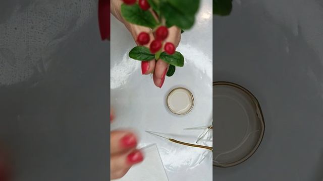Веточка брусники из холодного фарфора.Часть 4. Сборка ?