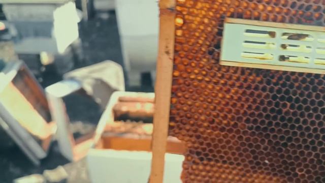 ИЗОЛЯЦИЯ МАТОК не делай это пока не посмотришь это вид смотреть онлайн