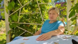 ЧТО Я ДЕЛАЮ С МУЛЬЧОЙ ПЕРЕД УКРЫТИЕМ РОЗ. Какая мульча