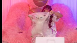 Я исследовал мошеннические продукты с ИИ.