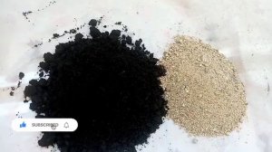 Манго из косточки. Почему пришлось пересаживать? #манг