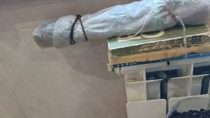 Настольная прививка винограда. Часть 3. Стратификация