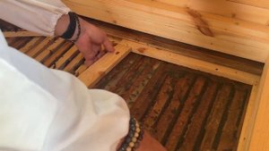 Сон на пчелах или апитерапия.