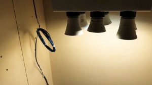 Выращивание марихуаны! (Часть первая)