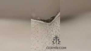 Промерзание в квартире как выглядит, что делать?
