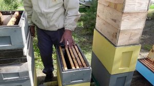 шестирамочный улей с гнездом на 145 рамку . часть 2