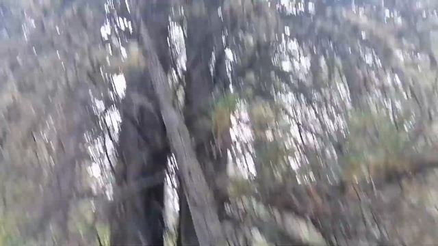 Дорога на тоджу летом, Там где растёт Артыш!!!
