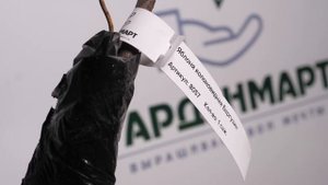 Яблоня колоновидная Баргузин