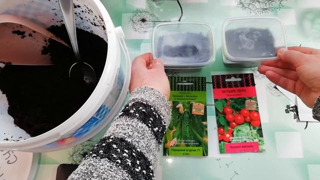 ОГОРОД НА ОКНЕ. ОГУРЕЦ и ТОМАТ смотреть онлайн