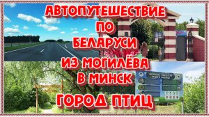 АВТОПУТЕШЕСТВИЕ ПО БЕЛАРУСИ!ИЗ МОГИЛЁВА В МИНСК.ЭКО ТРОПА "ГОРОД ПТИЦ".