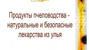 Презентация компании "Медок"